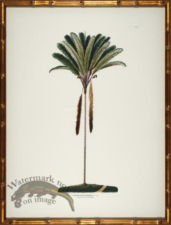 Palm trees in Gold Bamboo 05